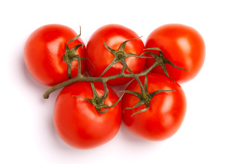 branch of tomatoes