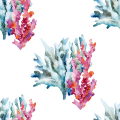 Image of Corals with shells and crabs printed on Printed Glass Splashbacks