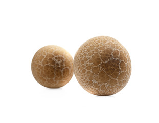 top of fresh shimeji mushroom isolated on white background