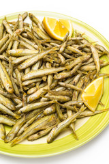 Frittura di gianchetti, fried fish, italian cuisine