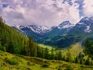 Fototapeta na wymiar magnificent view of the Alps
