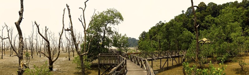 Fototapeta na wymiar Bako National Park, Borneo Malaysia