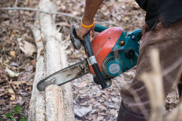  Man cutting the wood with chainsaw