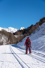 Fototapeta na wymiar Langläufer mit verschneiten Bergen im Hintergrund