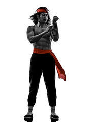  manga video games martial arts fighter