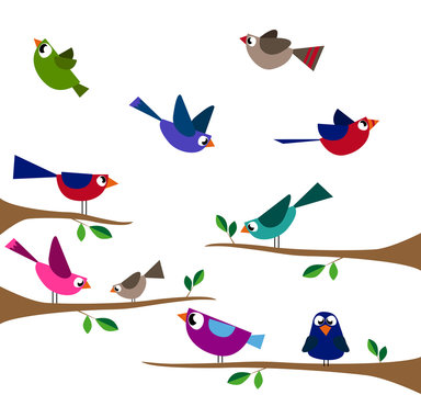 Cute colorful bird collection. Vector illustration set.