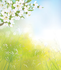 Plakat Vector blossoming branch of apple tree, spring landscape.