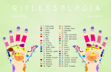 Reflexology hand chart