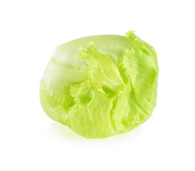 Fototapeta na wymiar Green Iceberg lettuce on White Background