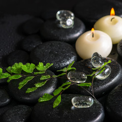 Fototapeta na wymiar beautiful spa concept of green twig fern, ice and candles on zen