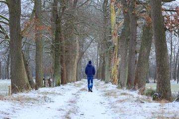 Fototapeta na wymiar Man walking in a lane of trees on a moring in winter.