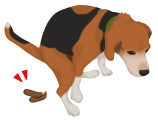 ウンチをしている犬