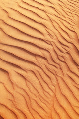Fototapeta na wymiar Rippled sand in desert.
