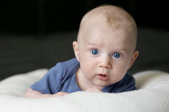 1 035 Best Etonne Images Stock Photos Vectors Adobe Stock