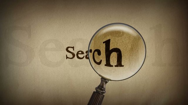 Schriftzug Search mit Lupe