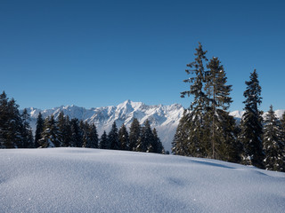 Bergpanorama mit Karwendel