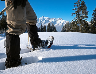Schneeschuhe mit Alpenpanorama
