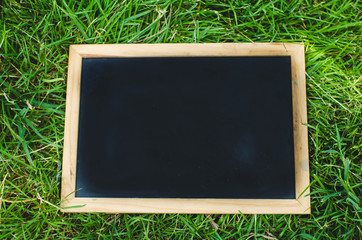 Blank blackboard on green grass.