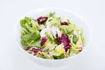 Green and red leaf of lettuce .