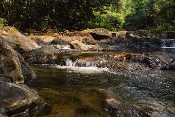 Small waterfall with natural light.