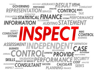 INSPECT word cloud, business concept