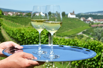 Wine and grapes against vineyards in Rheinau, Switzerland