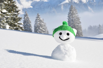 Obraz premium Snowman in the knitted cap