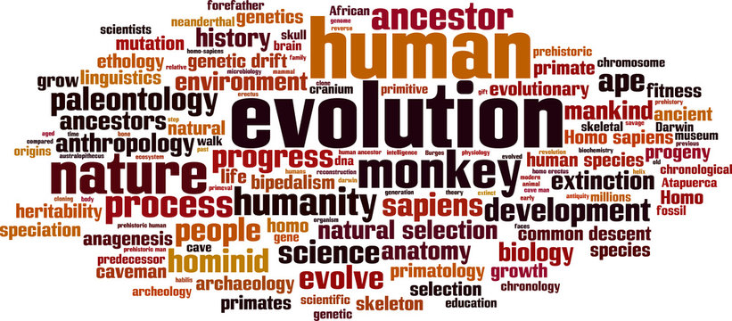 Evolution Word Cloud Concept. Vector Illustration