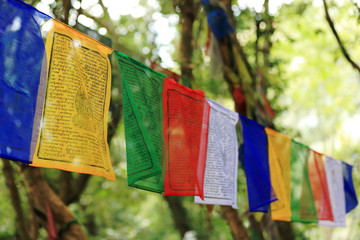 Buddhist prayer flags. T.T.Yangtse monastery-Nepal. 1006
