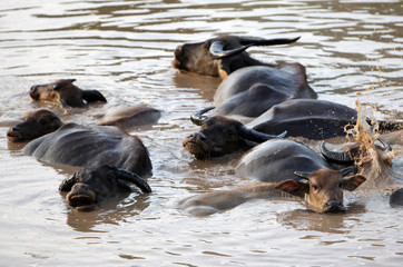 ASIA SOUTHEASTASIA LAOS KHAMMUAN REGION