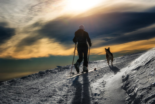 Ski mountaineering silhouette, girl with a dog