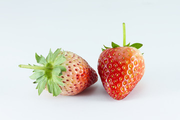 Strawberries on white background