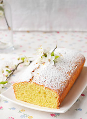 Cupcake with cottage cheese