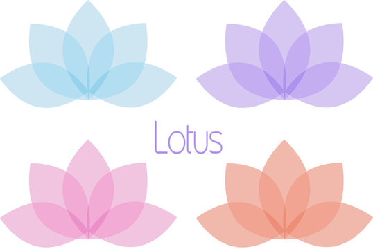 Fototapeta Set of Lotus flowers.