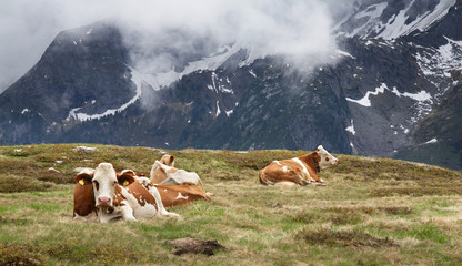 Alps near Mayrhofen. Austria