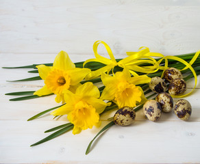 Narcissus flower and quail egg