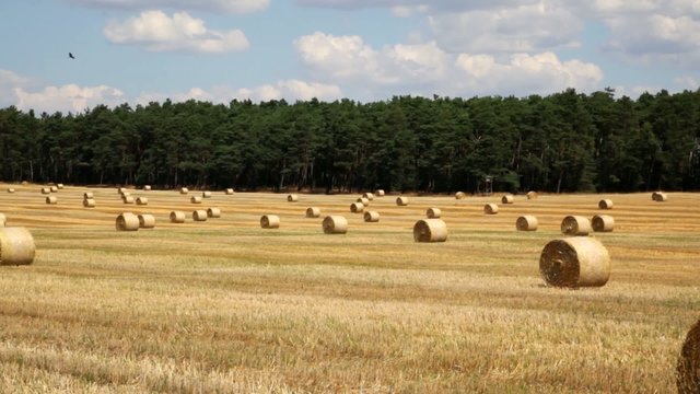 Strohballen auf einem Acker