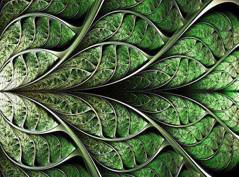 abstract plant background, fractal illustration