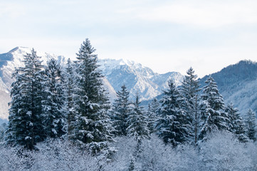 Val Cellina