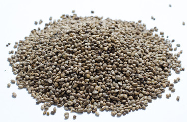 hemp seed