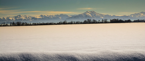 Bisalta nella neve 2