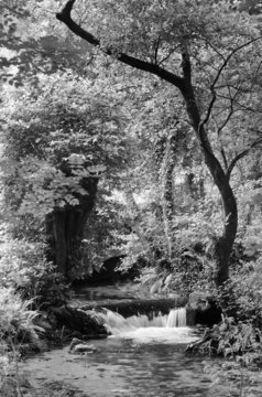 Imágenes de Gafos descubre bancos de fotos, ilustraciones, vectores y