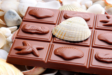 chocolate with shells
