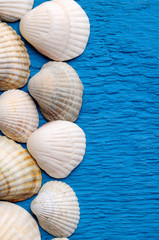 Different shells in the corner on wooden vintage blue plate