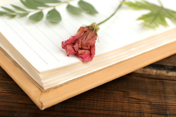 Dry up plants on notebook on wooden background
