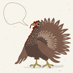Cute turkey cock with speech bubble
