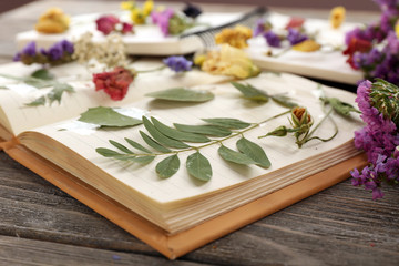 Composition with flowers and dry up plants