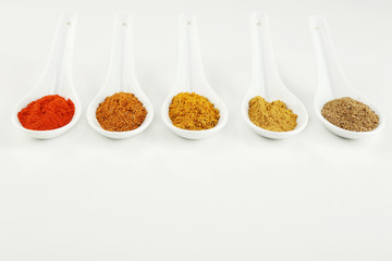 Different kinds of spices in ceramics spoons isolated on white