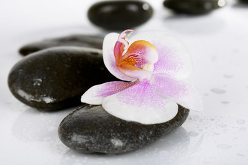 Obraz na płótnie Canvas Spa stones with orchid isolated on white