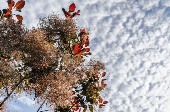 Park of the Senses